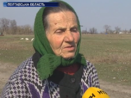 На Полтавщині під час спалювання сухостою загинула пенсіонерка
