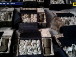 Огромный арсенал оружия обнаружили правоохранители у бывшего военного в Прилуках