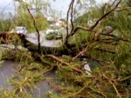 Мощный ураган обесточил несколько населенных пунктов в Житомирской области
