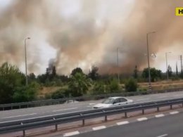 Потужні лісові пожежі вирують в Ізраїлі