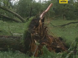 Україною промчав буревій: 600 населених пунктів залишилися без електрики