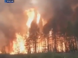 Лісові пожежі в Сибіру охопили територію розміром із Бельгію