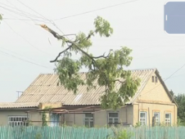 Непогода на Запорожье: сломанные деревья, сорваны крыши и оборванные линии электропередач
