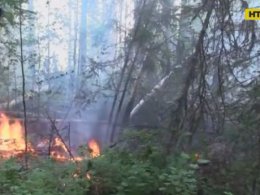 В Красноярске, в России, завели первое уголовное дело в отношении пожаров в тайге