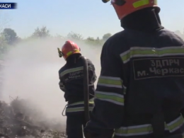 Від нестерпного смороду з колишнього військового полігону страждають жителі Черкас