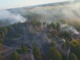 В Украине объявили самый высокий уровень пожарной опасности