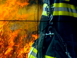 В Україні не вщухають торф'яні пожежі