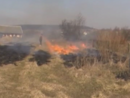 Спасатели третий день тушат пожар на стихийной свалке возле аэропорта "Борисполь"
