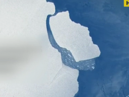Від Антарктиди відколовся найбільший за останні 50 років айсберг