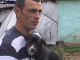 В Черкасской области люди подозревают соседа в убийстве собак