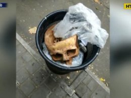 У Миколаєві у смітнику знайшли череп людини