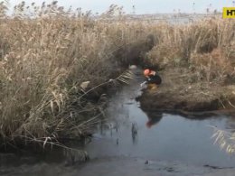 На Николаевщине разыскивают преступников, которые слили в реку Ингул нефтепродукты