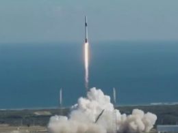 Компания SpaceX отправила в космос мышей