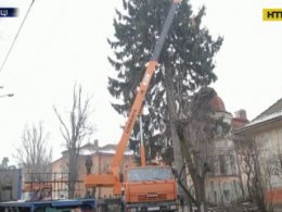 Ялинка розсварила сусідів у Чернівцях