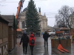 У центрі Львова встановили новорічну ялинку