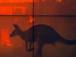Новые пожары вспыхнули на юге Австралии