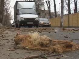 У Києві оголосили штормове попередження