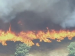 В Австралії з новою силою розгорілися лісові пожежі