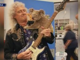 Легендарный гитарист группы Queen Брайан Мэй сыграл для коалы в Австралии