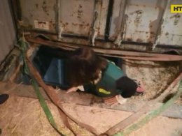 Іспанські поліцейські затримали українців, які працювали на нелеґальній підземній фабриці цигарок