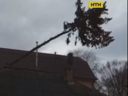 Из-за урагана по Украине без света остались 250 населенных пунктов, в 7 областях