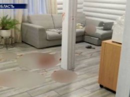 На Киевщине 14-летний школьник устроил кровавую резню в доме тети