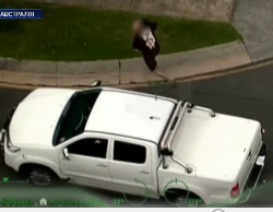 Австралийская полиция обнародовала видео задержания угонщика авто
