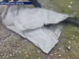 На Житомирщине, в пруду, нашли тело пропавшего 16-летнего Дмитрия Степарука