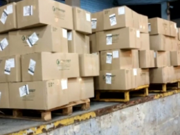 В аеропорту Бориспіль затримали півтори тонни медичних масок