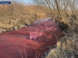 Кровавая река напугала людей в Торонто