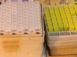 Испания возвращает Китаю бракованные экспресс-тесты для выявления коронавируса