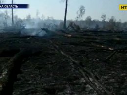 Пожары в лесополосах: чрезвычайники просят украинцев оставаться дома