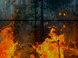 Карантин с привкусом гари: спасатели фиксируют все больше пожаров в лесополосах и парках