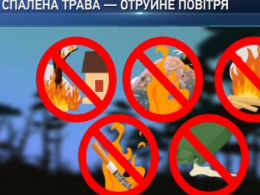 Спасатели призывают украинцев не устраивать пожары на природе