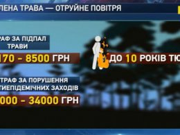 Спасатели призывают граждан не провоцировать пожары на природе