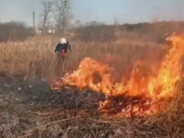 За сутки в Украине произошел 541 пожар на полях и в лесах