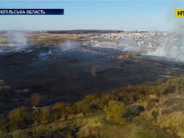 На Тернопільщині затримали палія, який із цікавості підпалив поле