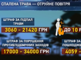 Рятувальники просять людей не провокувати пожежі на природі