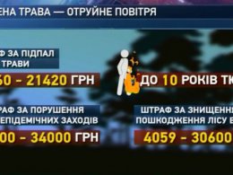 Спасатели в очередной раз просят людей не жечь траву