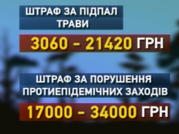 Спасатели просят людей не провоцировать пожары на природе