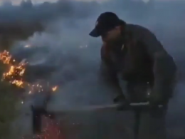 В Чернобыльской зоне и Житомирской области спасатели вместе с лесниками пытаются потушить огонь