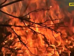 Около 30 000 пожаров произошло в Украине с начала года