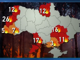 В Житомирской области загорелся Полесский природный заповедник