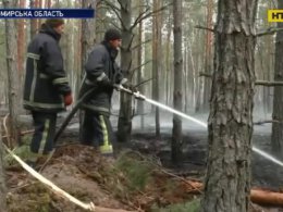 В Житомирской области мужчина поджег сухостой и сам сгорел