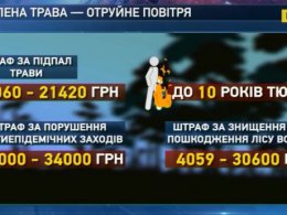 Рятувальники просять людей не провокувати пожежі на природі