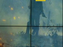 На Житомирщині рятувальникам вдалося максимально локалізувати лісові пожежі
