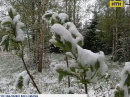 Східну Європу засипало снігом