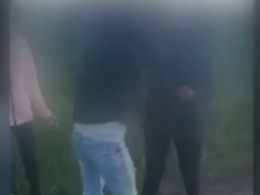 Недалеко от Харькова агрессивная компания подростков избила 19-летнюю девушку