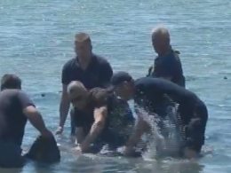 На Херсонщині рибний патруль врятував дельфінів, які потрапили в пастку
