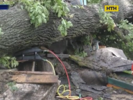 На Львівщині від наслідків негоди померла жінка